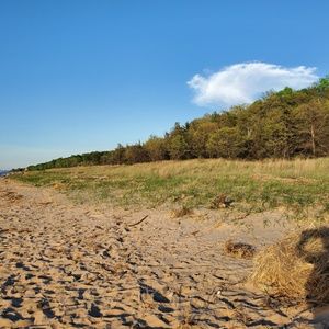 Meet your Posher, Adam